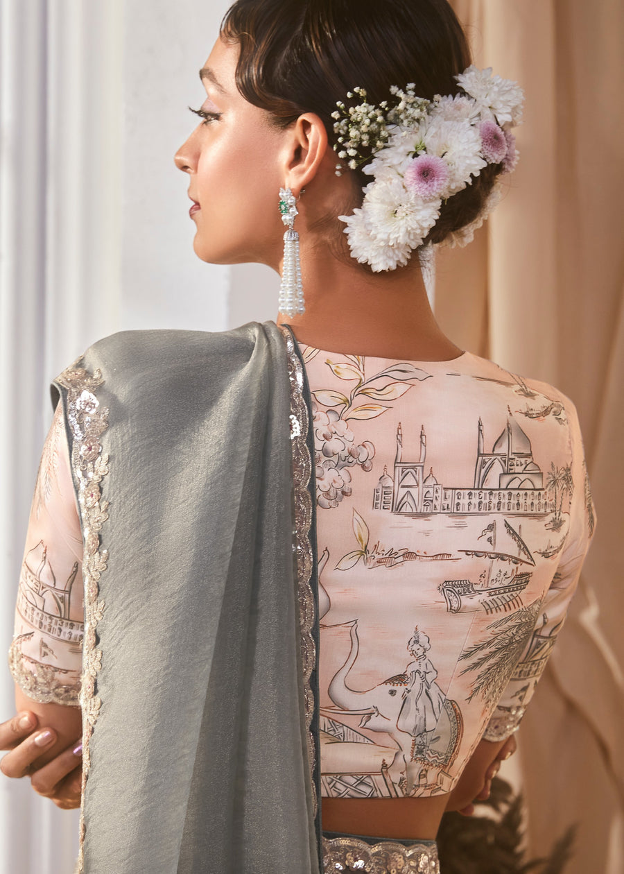 Grey Organza Tissue Silk Embroidered Saree & Pastel Peach Printed Blouse