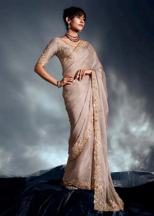 Beige Organza Tissue Silk Hand Embroidered Saree
