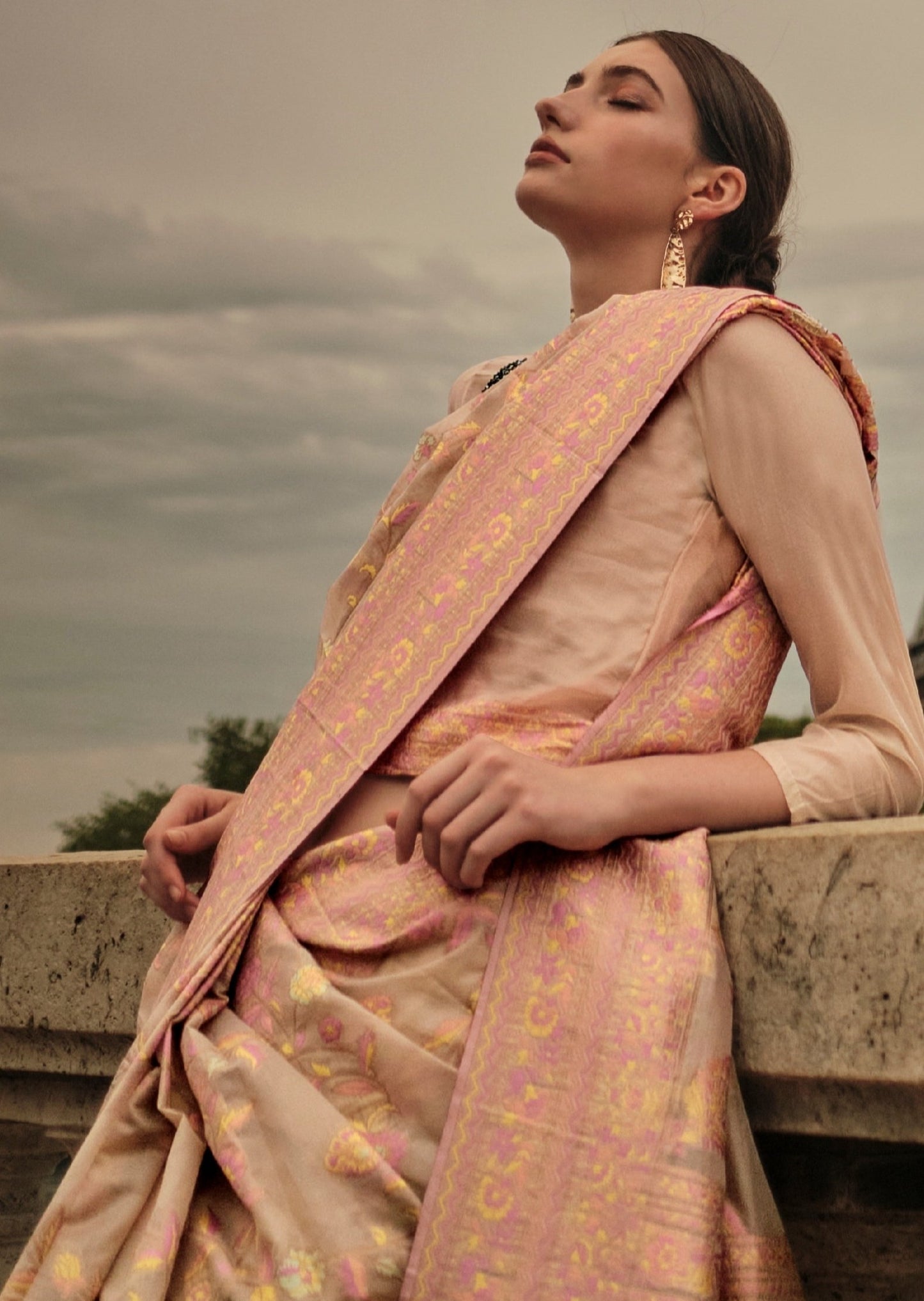 Pure Handloom Kashmiri Organza Beige Embroidered Saree