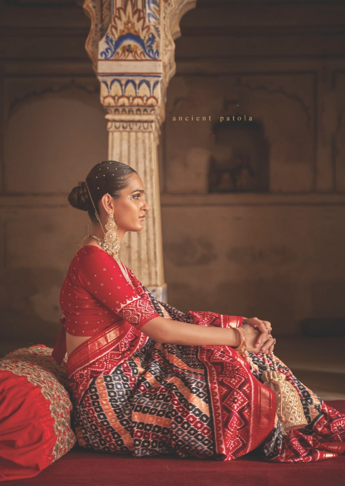 Ikkat Patola Red and Grey Saree