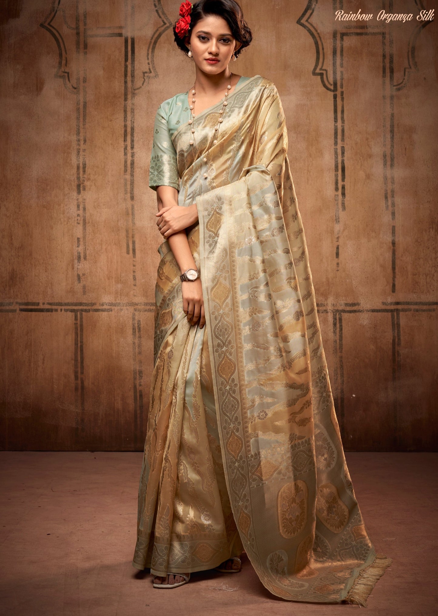 Two Tone Handloom Banarasi Organza Saree