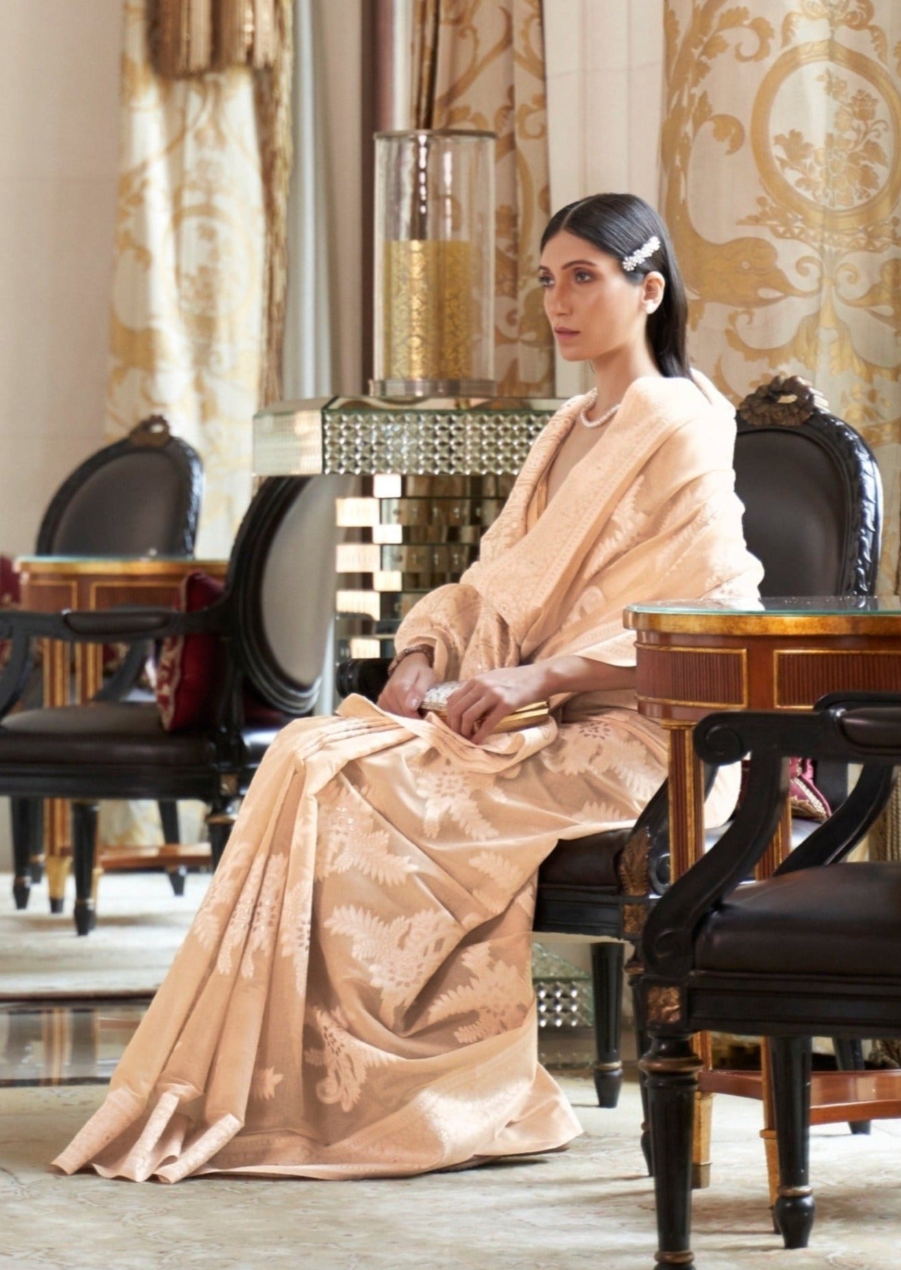 Lucknowi Chikankari Beige Saree