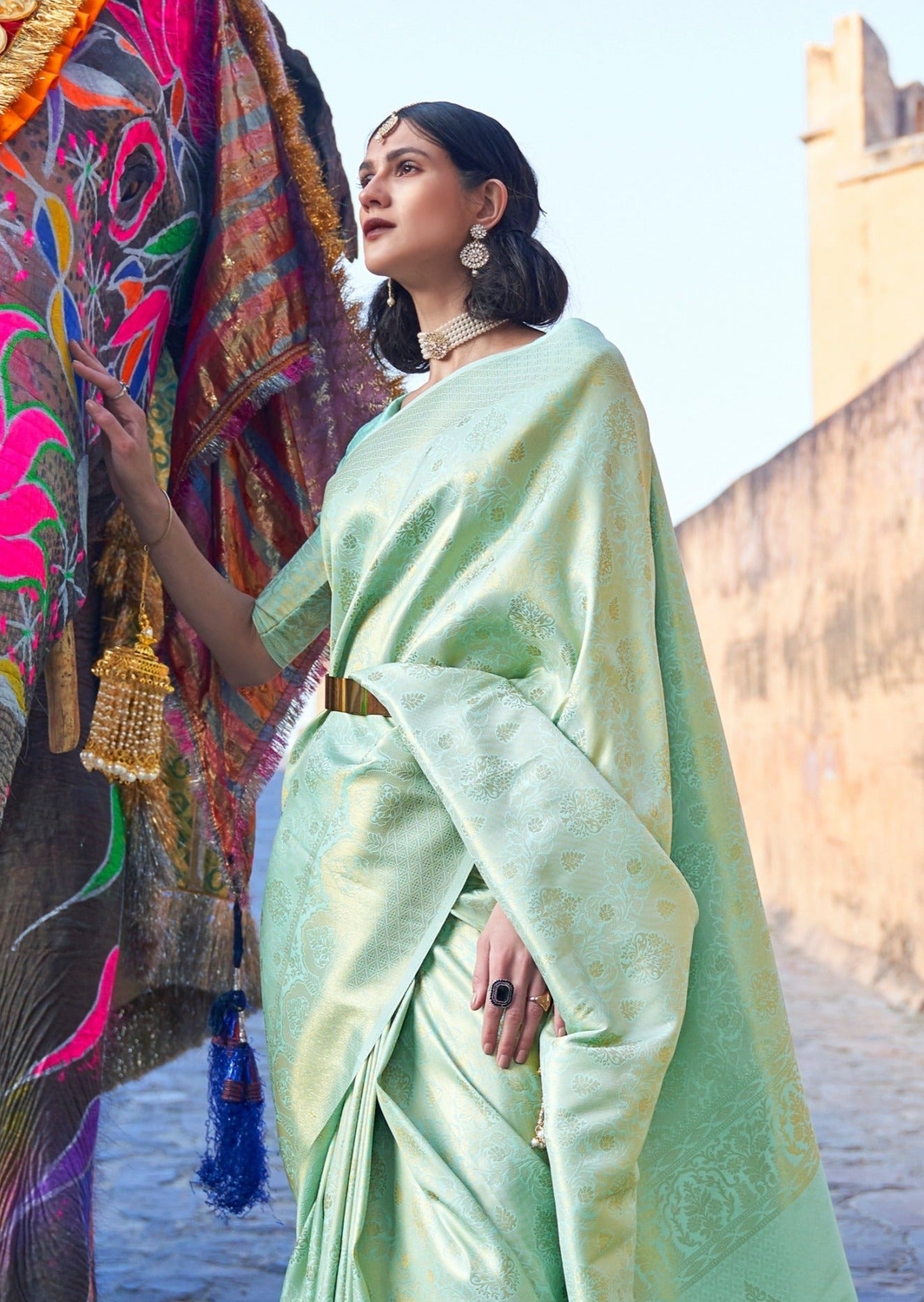 Pure Handloom Silk Mint Green Kanjivaram Saree