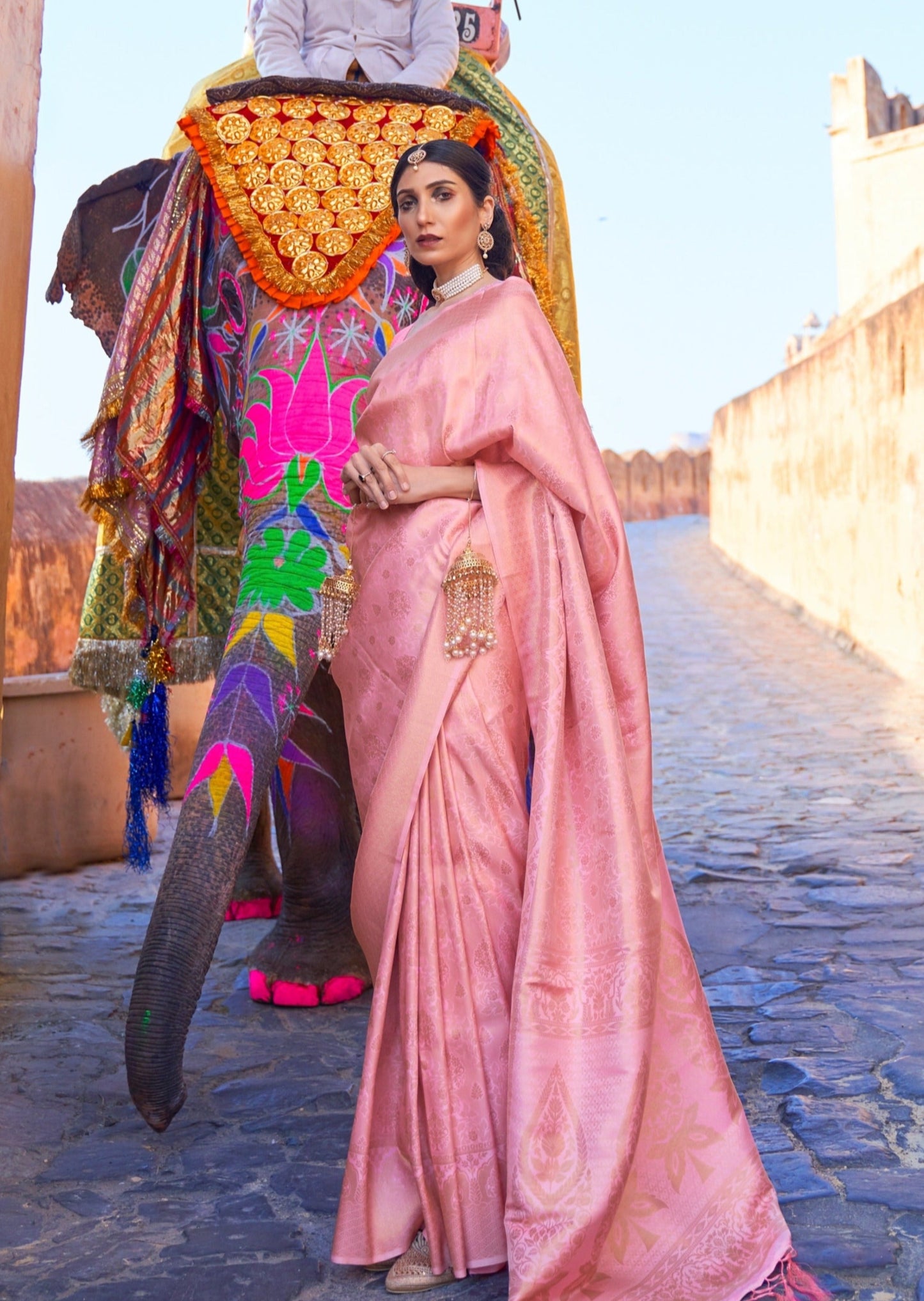 Pastel Kanjivaram Silk sarees
