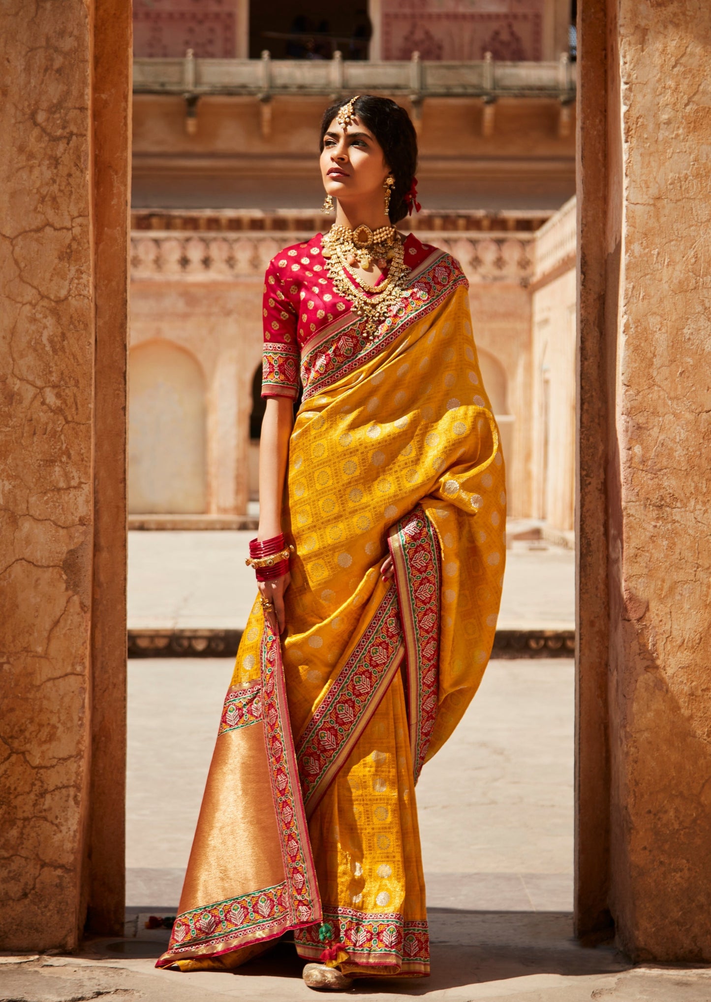 Zari Patola saree