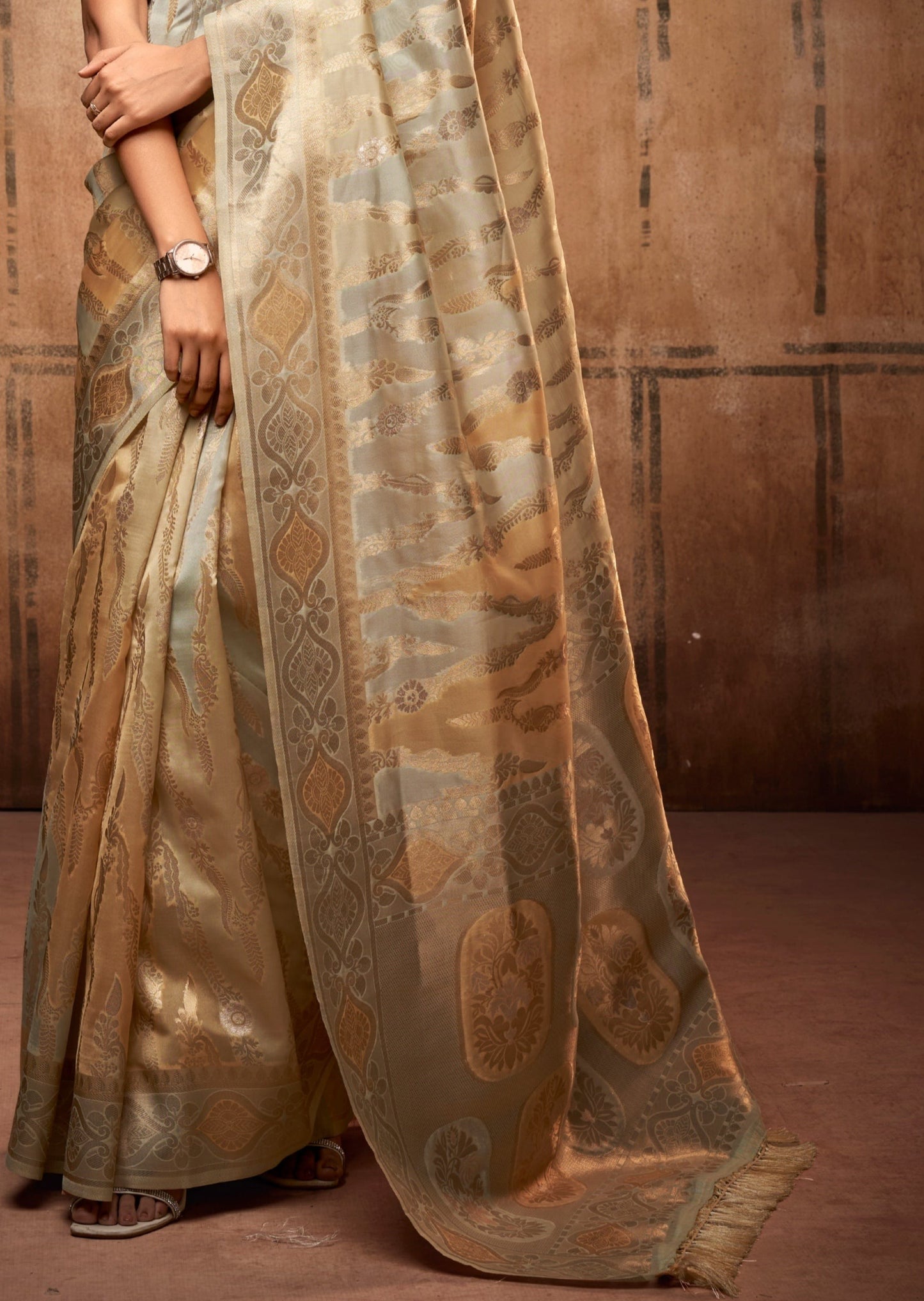 Two Tone Handloom Banarasi Organza Saree