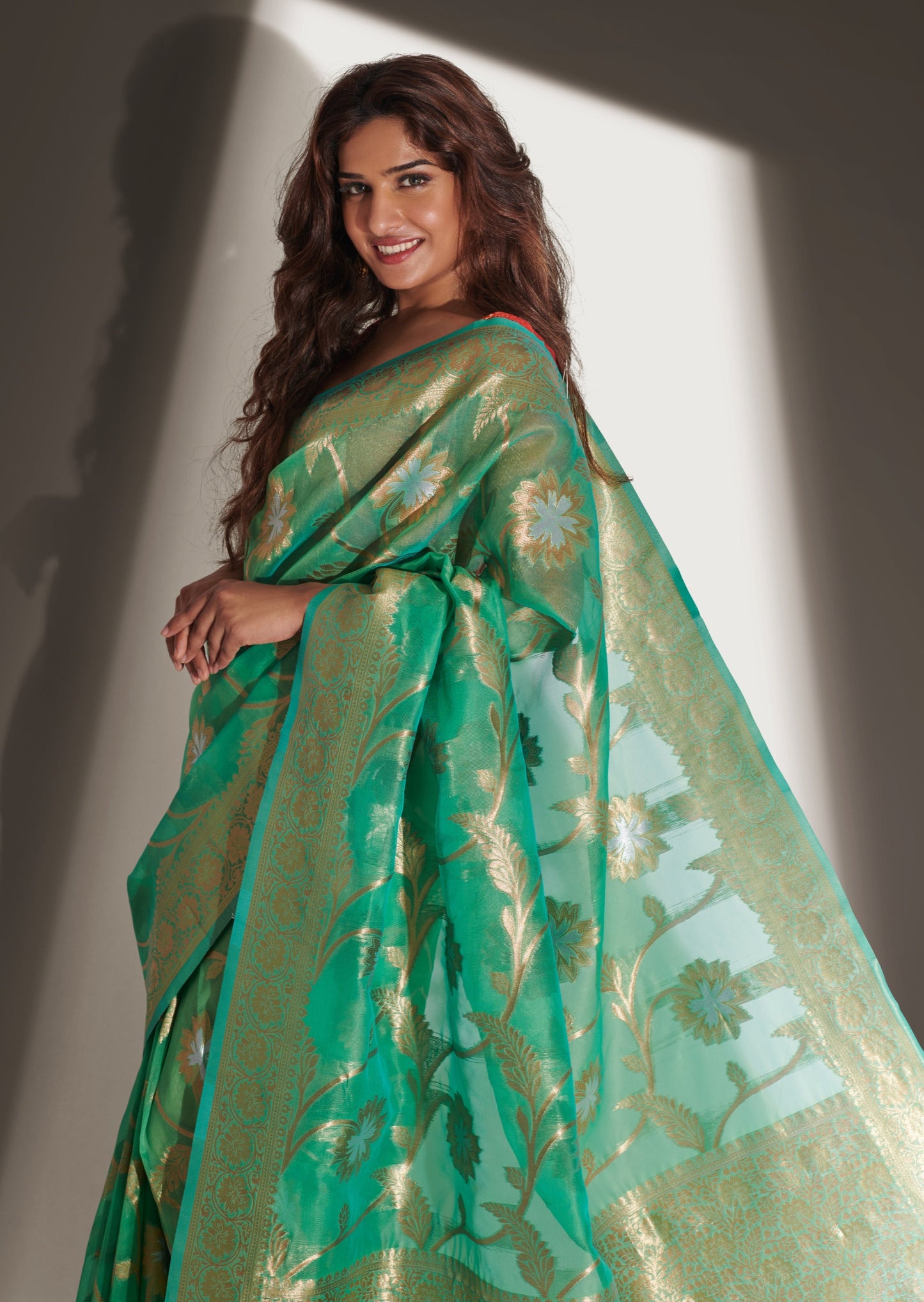 banarasi organza saree