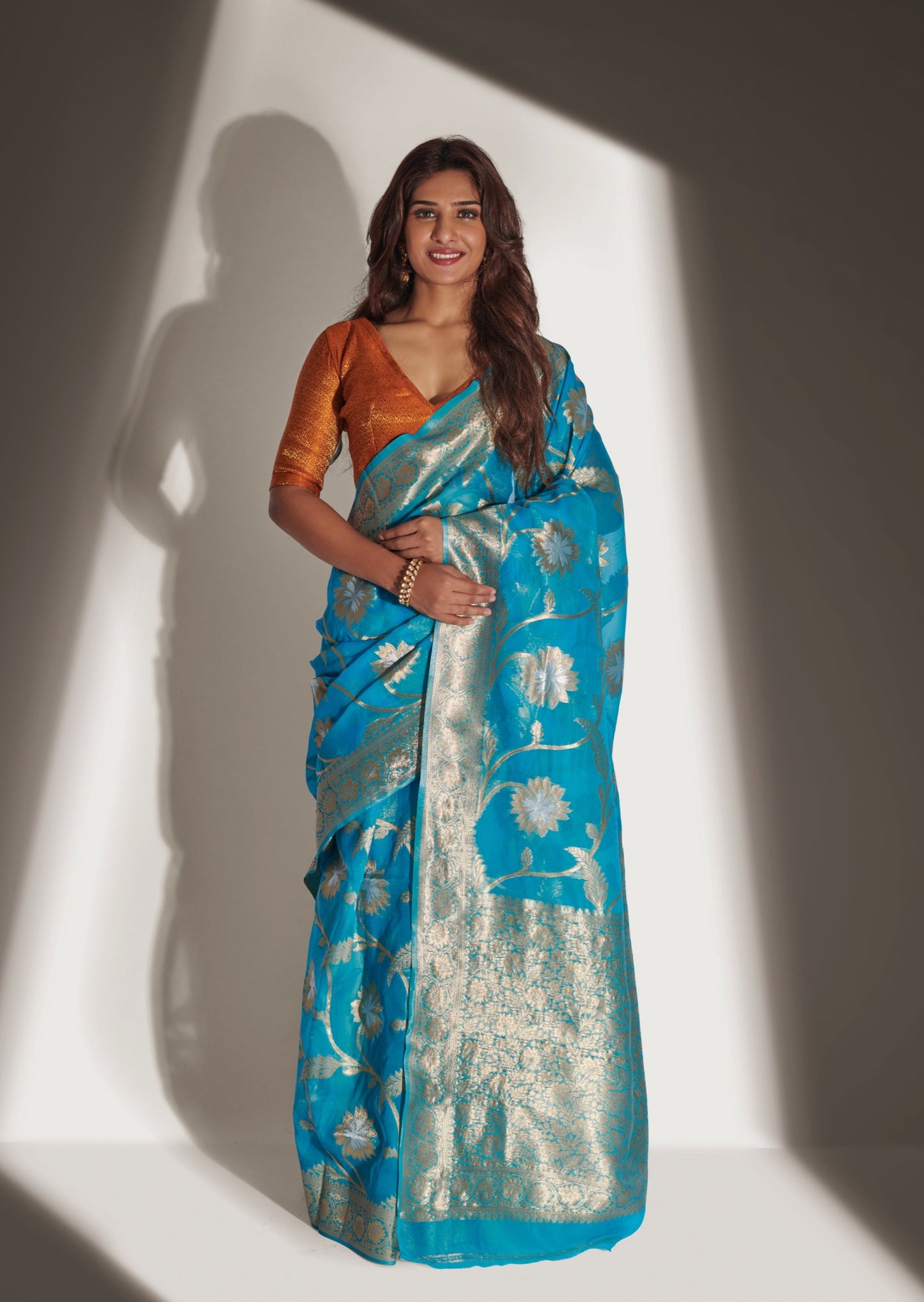 Handloom Banarasi Organza saree
