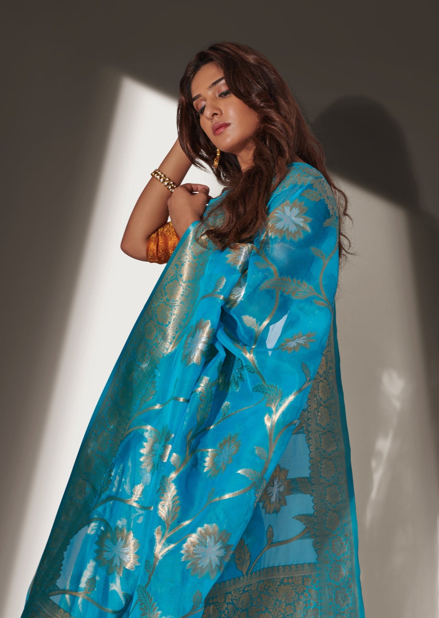 Marathi Actress Neha Khan in Pure Handloom Banarasi Organza Blue Saree