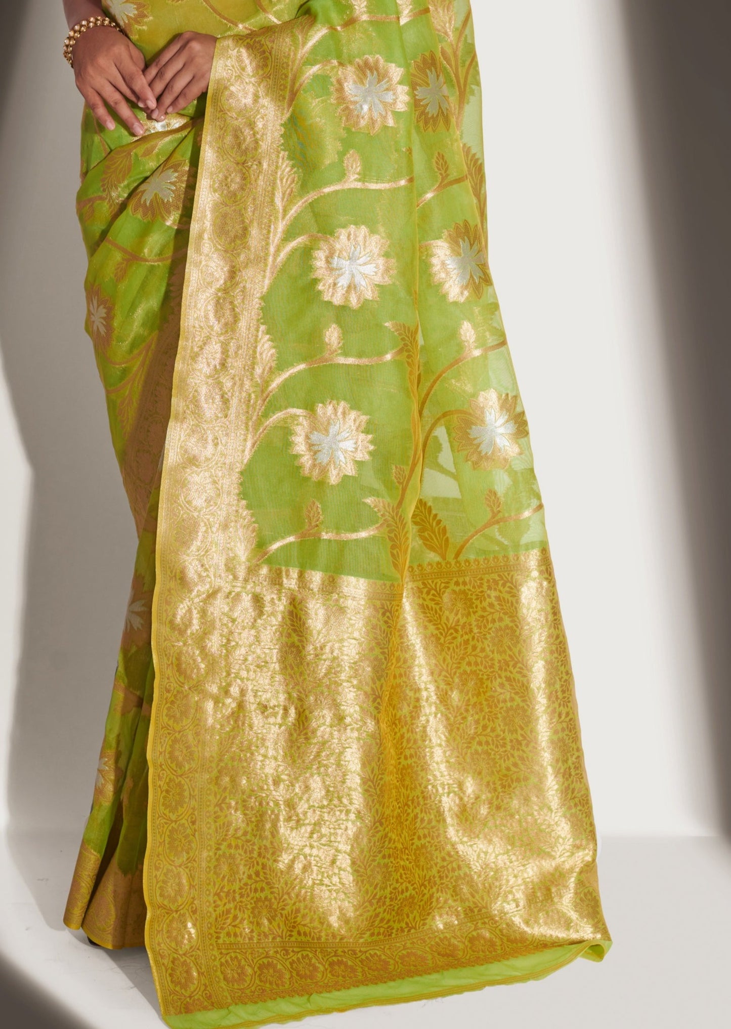 Marathi Actress Neha Khan in Pure Handloom Banarasi Organza Light Green Saree
