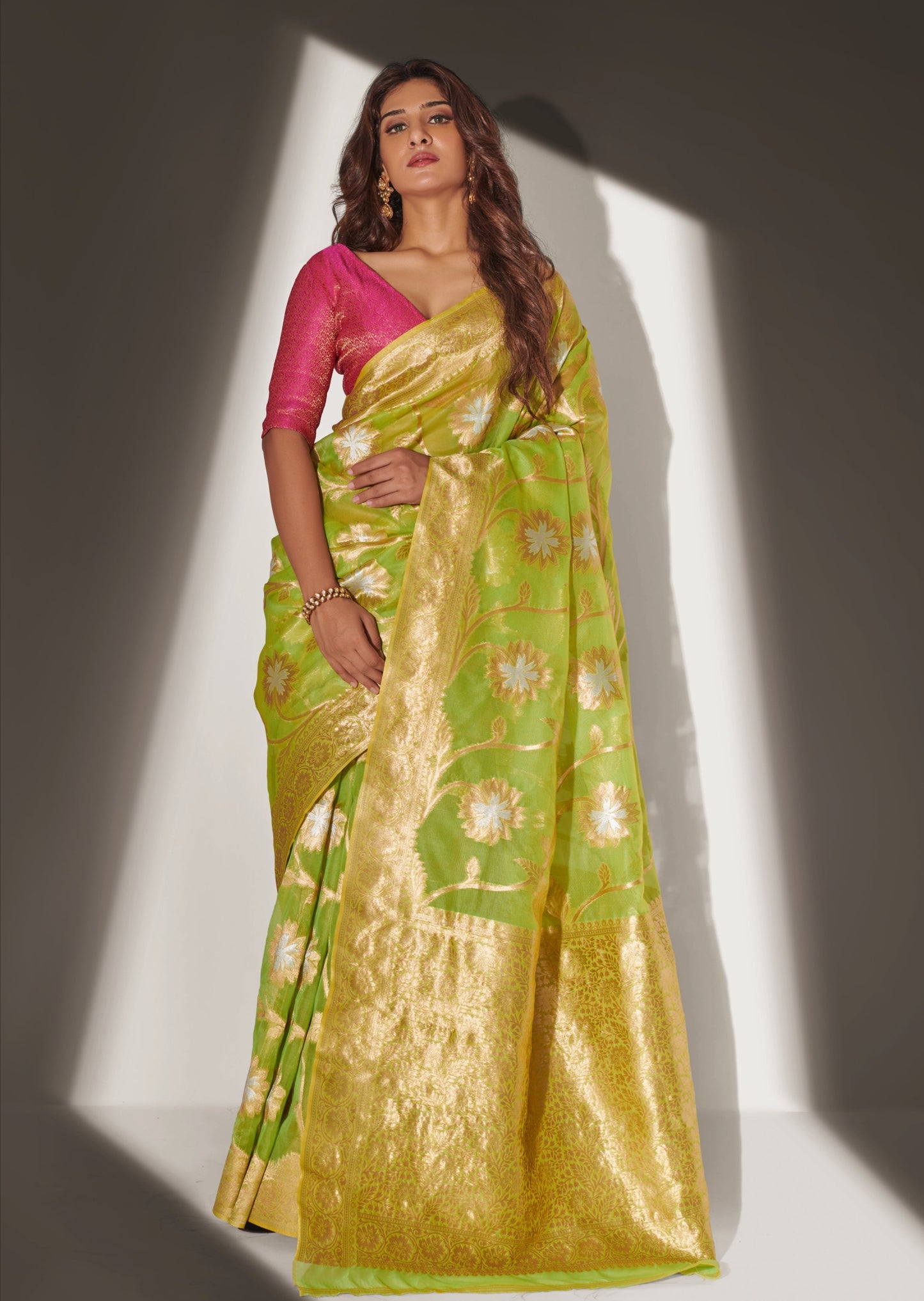 Marathi Actress Neha Khan in Pure Handloom Banarasi Organza Light Green Saree