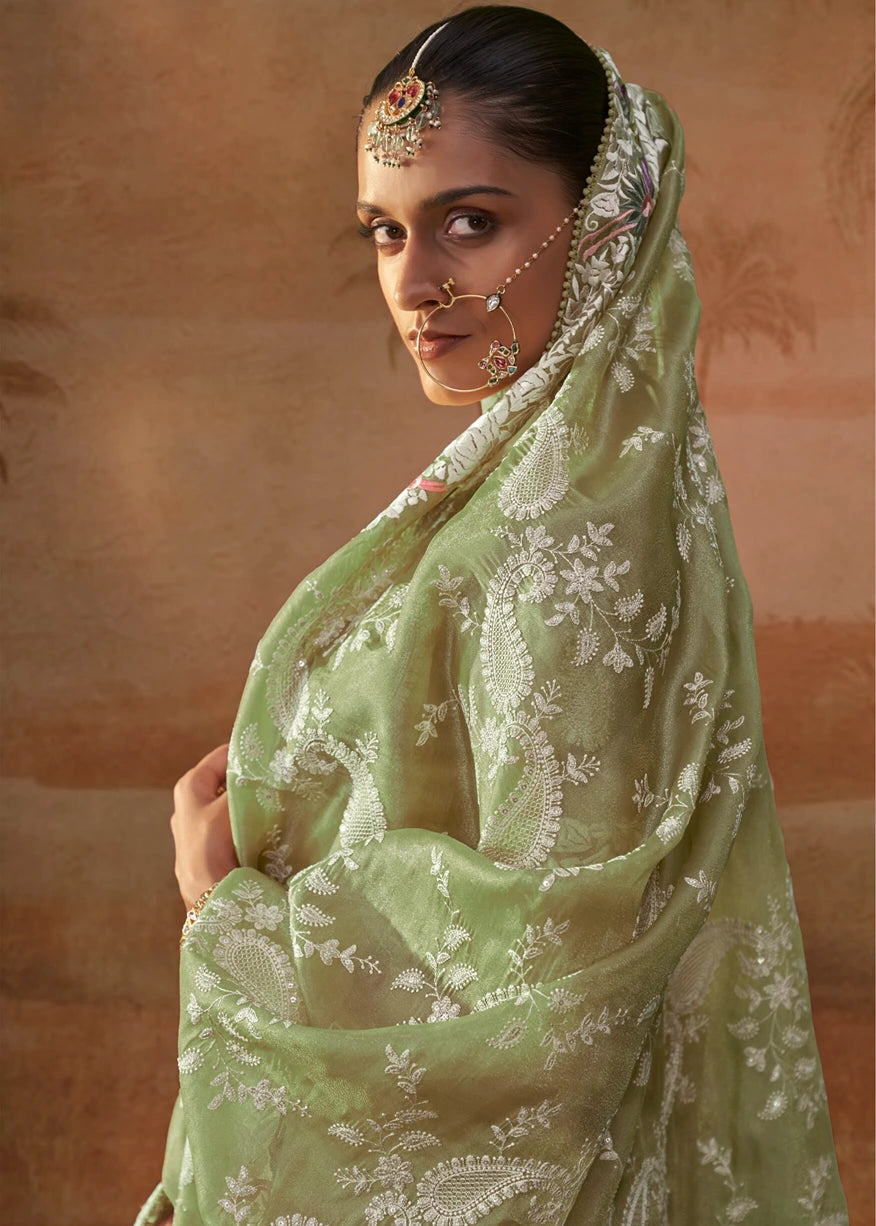 Pista Green Lucknowi Organza Silk Saree With Parsi Embroidery Border