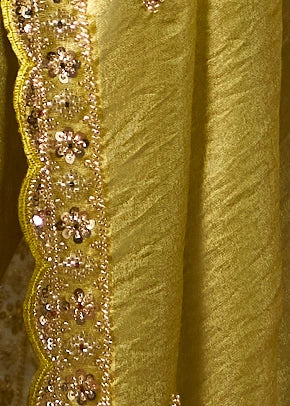 Lime Green Organza Tissue Silk Saree