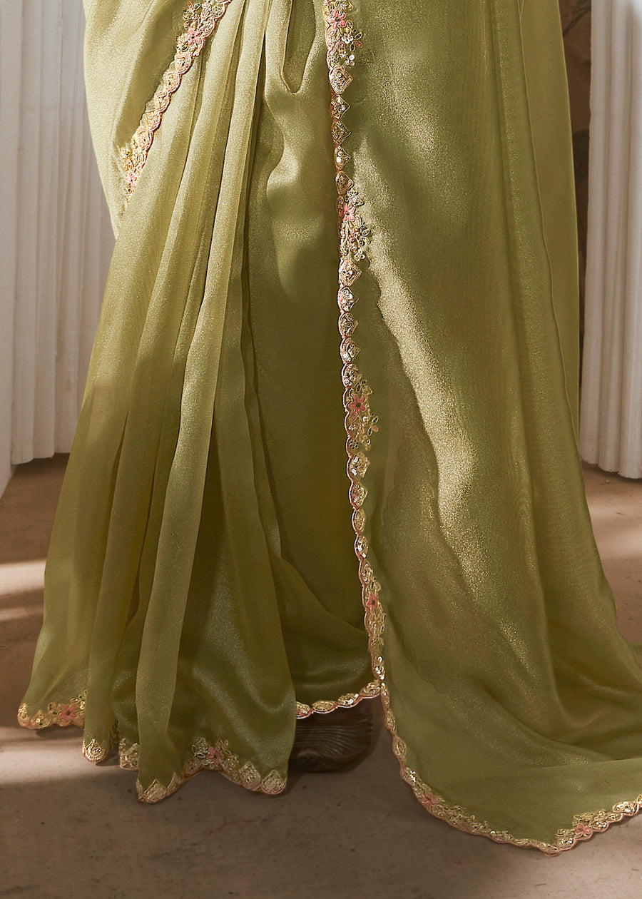 Pastel Green Organza Tissue Silk Embroidered Saree & Printed Blouse