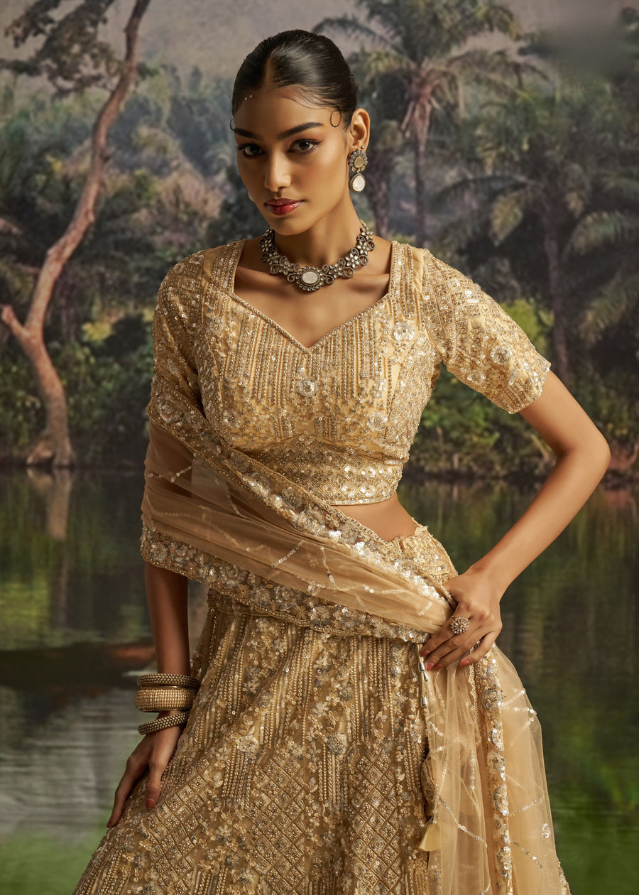 Light Gold Designer Lehenga Choli With Sequins Embroidery