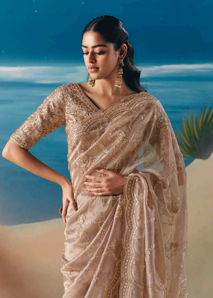 Closeup of sheer beige organza tissue silk saree blouse with artisanal sequin and bead hand embroidery on lightweight comfortable fabric.