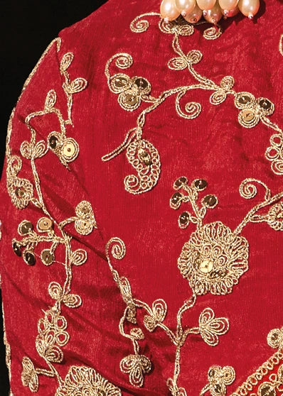 Close-up of contrast red silk blouse highlighting the gold zari embroidery and sequin detailing for its front and sleeves.