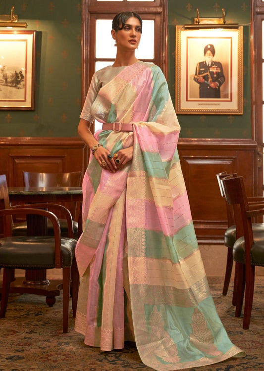 Rainbow organza saree